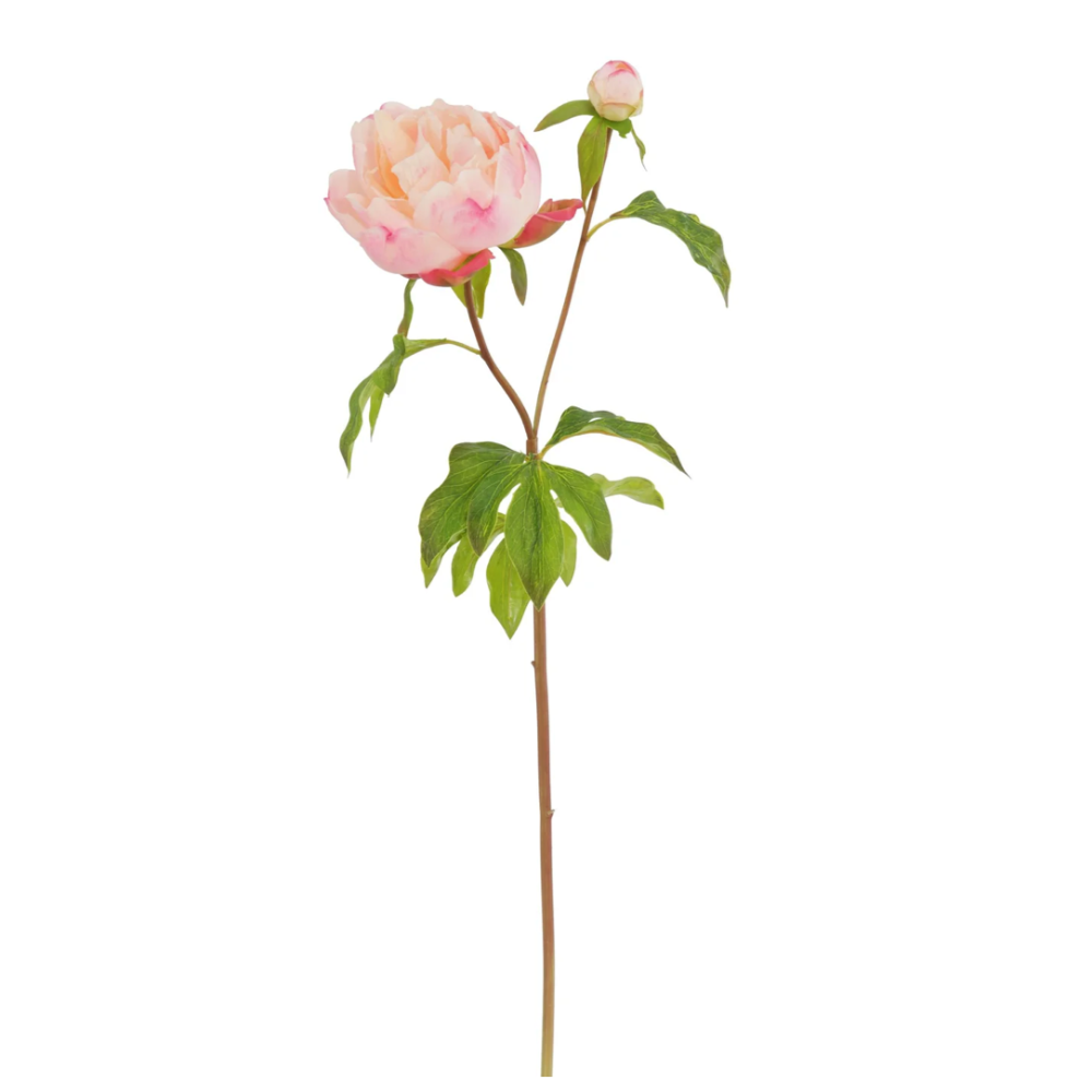 Winward Silks Real Touch Peony Stem at Home Smith