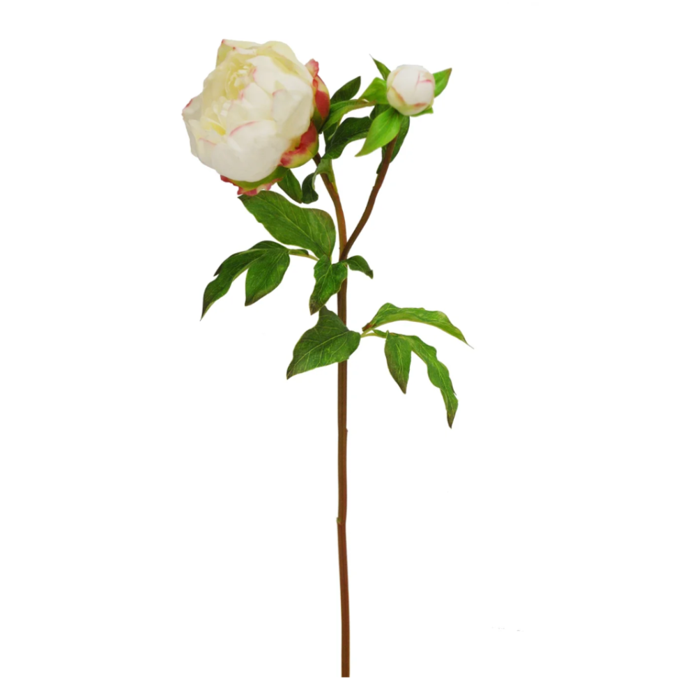 Winward Silks Real Touch Peony Stem in White at Home Smith