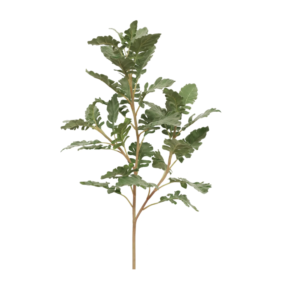 Dusty Miller Faux Stems at Home Smith