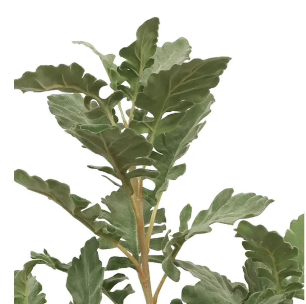 Dusty Miller Faux Stems from Winward at Home Smith