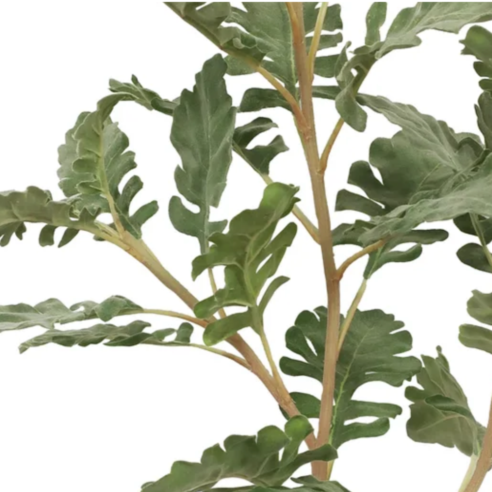 Dusty Miller Faux Stems at Home Smith