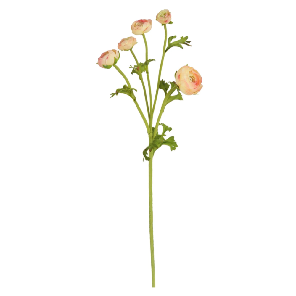 Natural Touch Ranunculus Stems in Peach at Home Smith