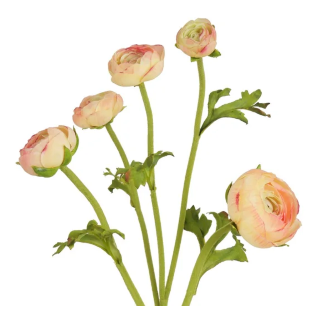 Natural Touch Ranunculus Stems in Peach at Home Smith