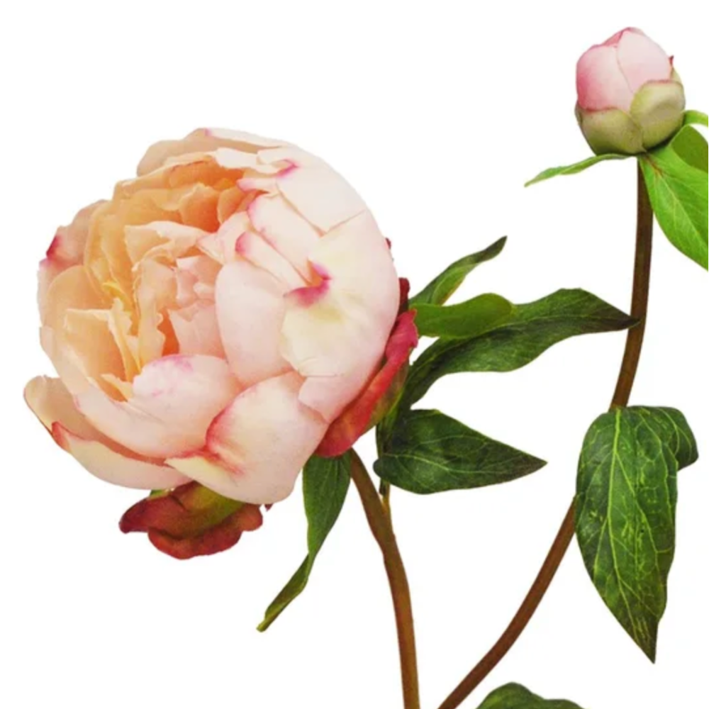 Pink Natural Touch Peony Bud Stem at Home Smith
