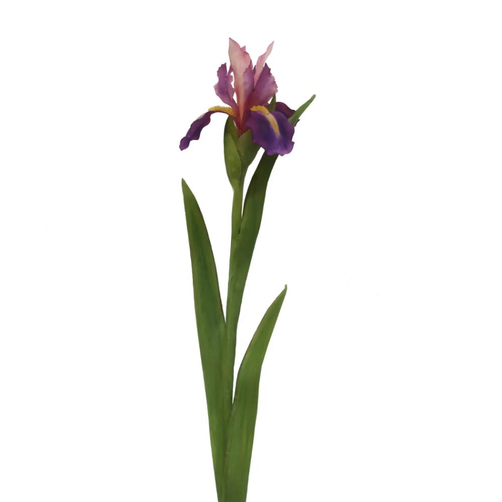 Dutch Iris Faux Stems in Lavender at Home Smith