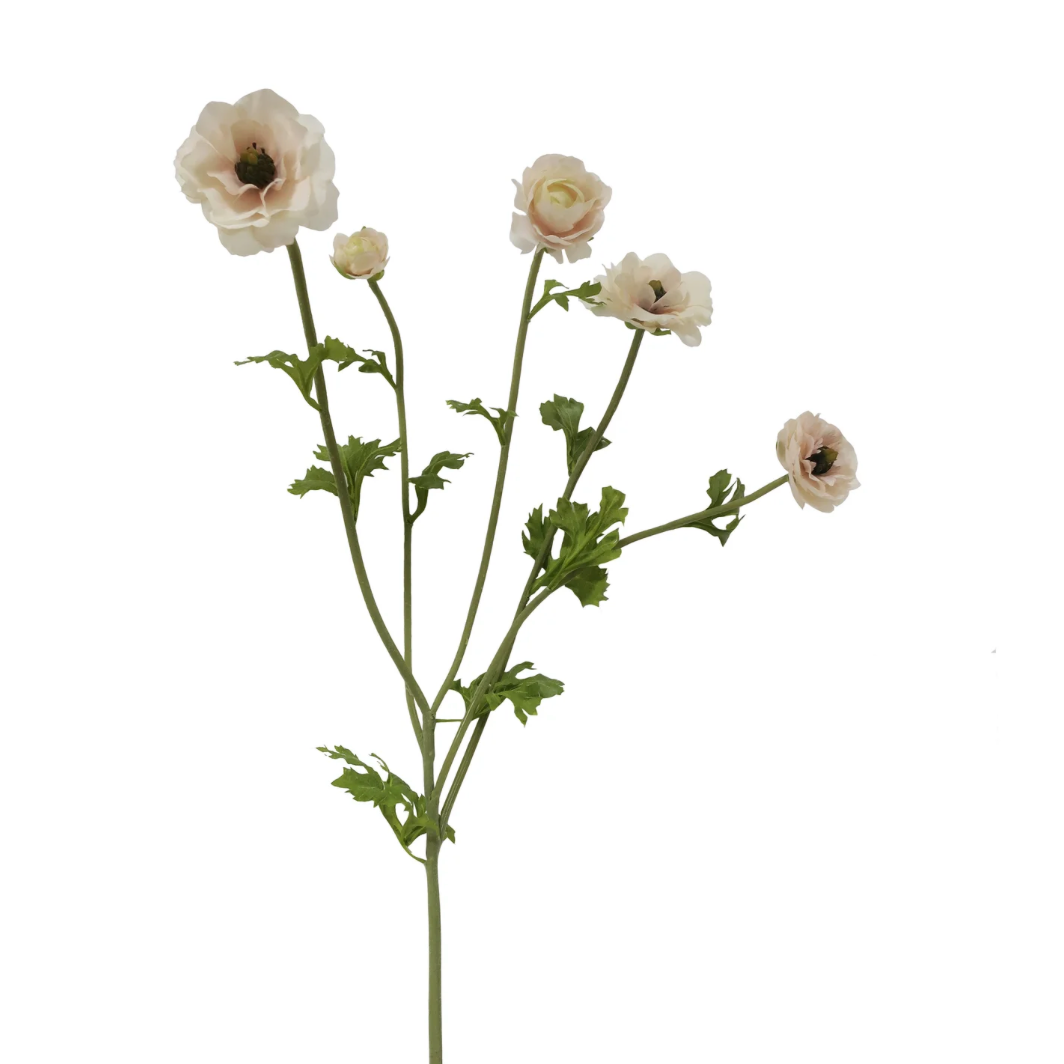 Butterfly Ranunculus stems in Linen Cream at Home Smith