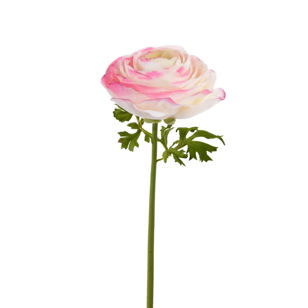 Ranunculus Bloom Natural Touch Winward at Home SMith