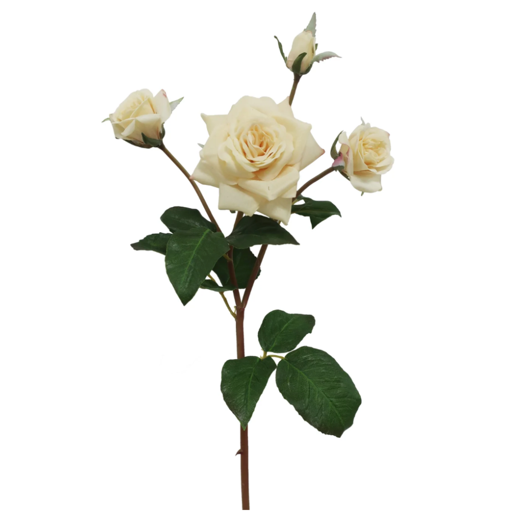 Ecuadorian Rose Branch in Cream from Winward at Home Smith
