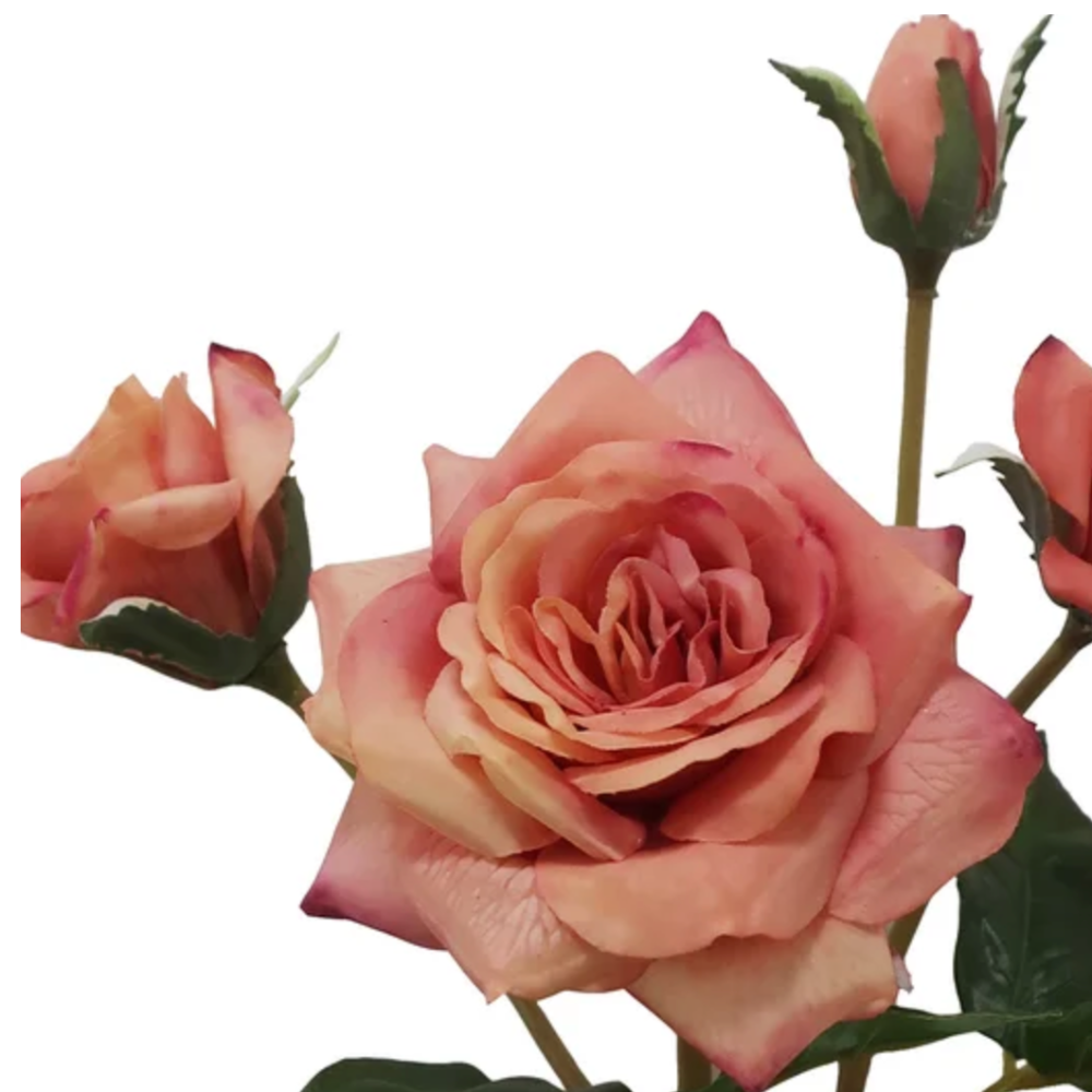 Ecuadorian Rose Branch in Deep Pink at Home Smith