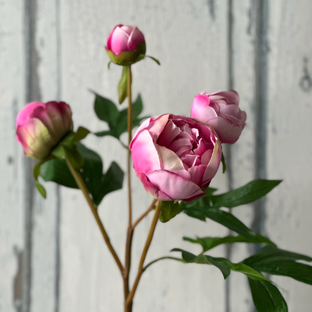 4 Bud Real Touch Peony Spray in Pink at Home Smith