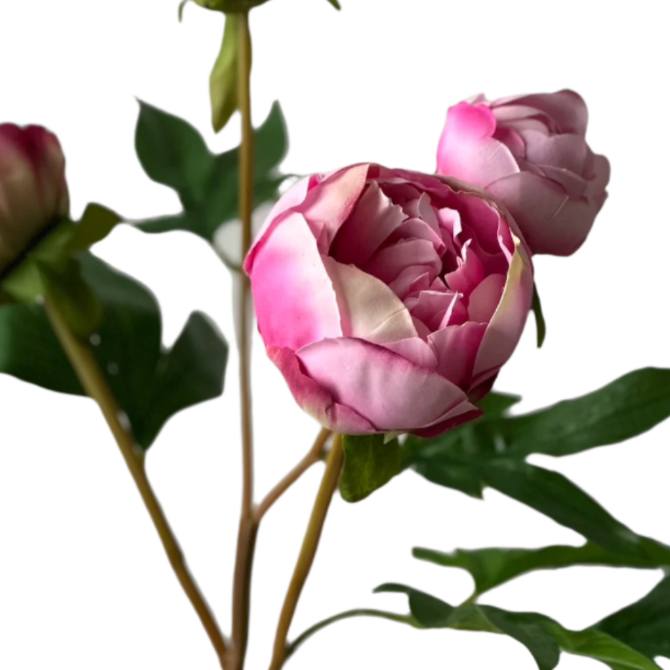 Detail of Pink Peony Bud Artificial Floral at Home Smith