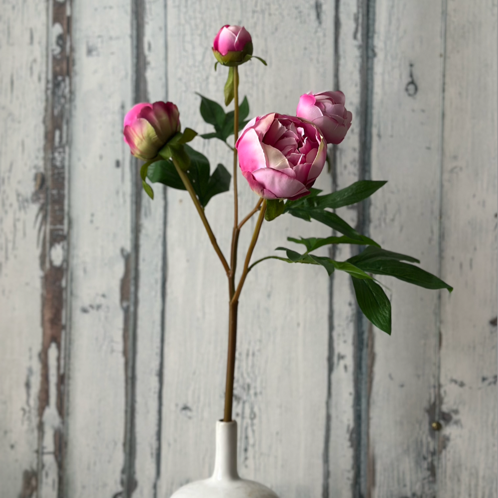 Peony Bud Spray