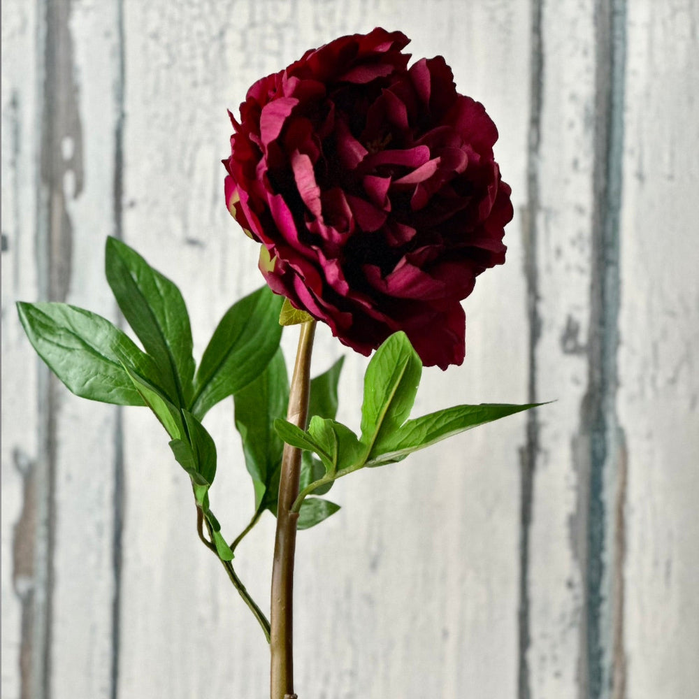 faux real touch burgundy peony stem at Home Smith
