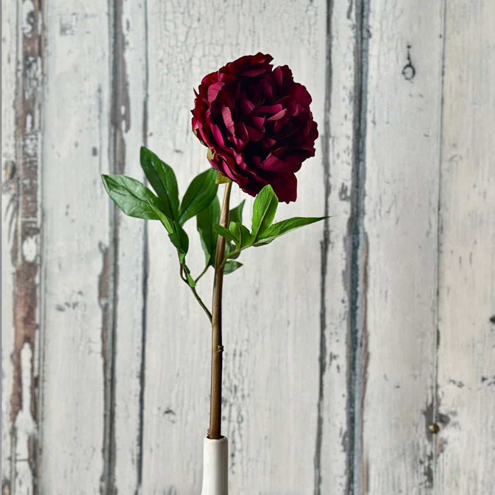 Faux burgundy real touch peony stem at Home Smith