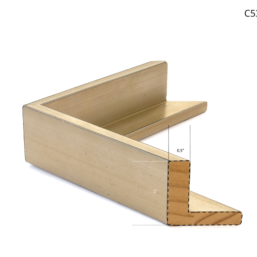 Champagne Finish Floating Frame at Home Smith