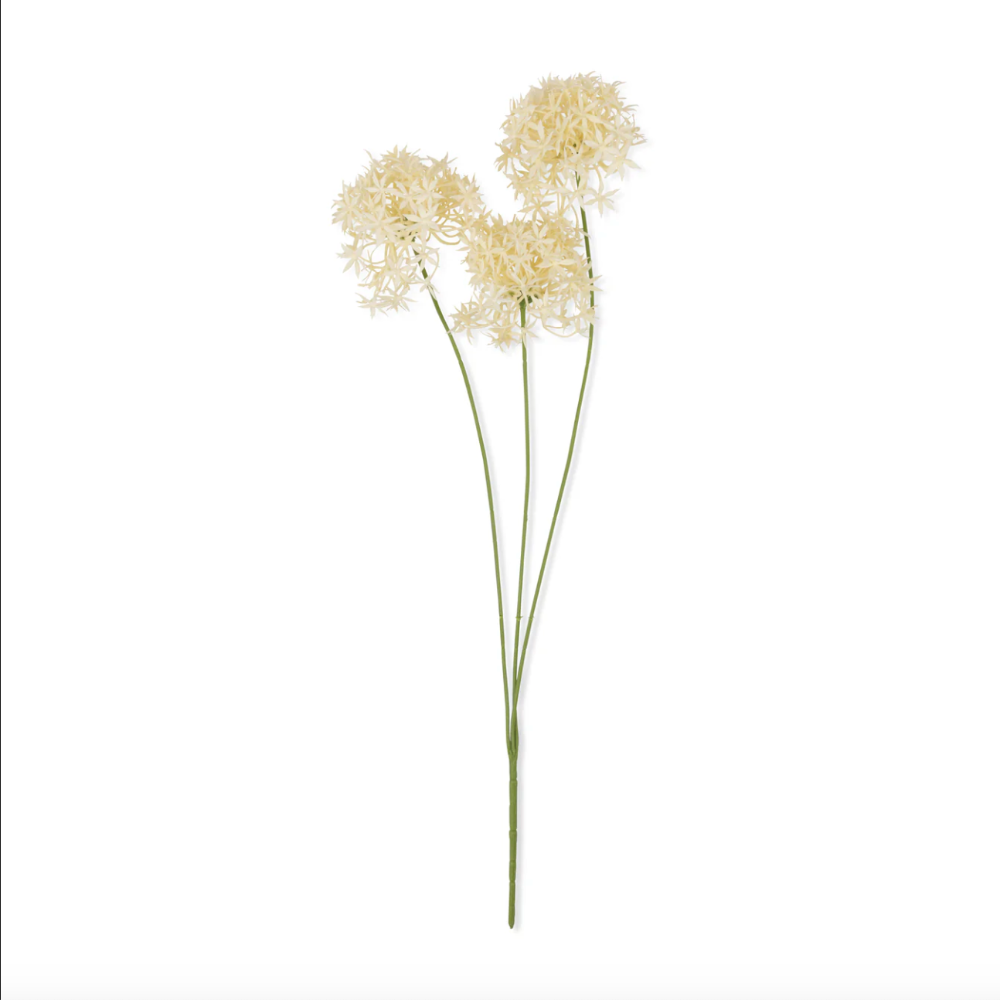 Faux Cream Allium Bunch at Home Smith