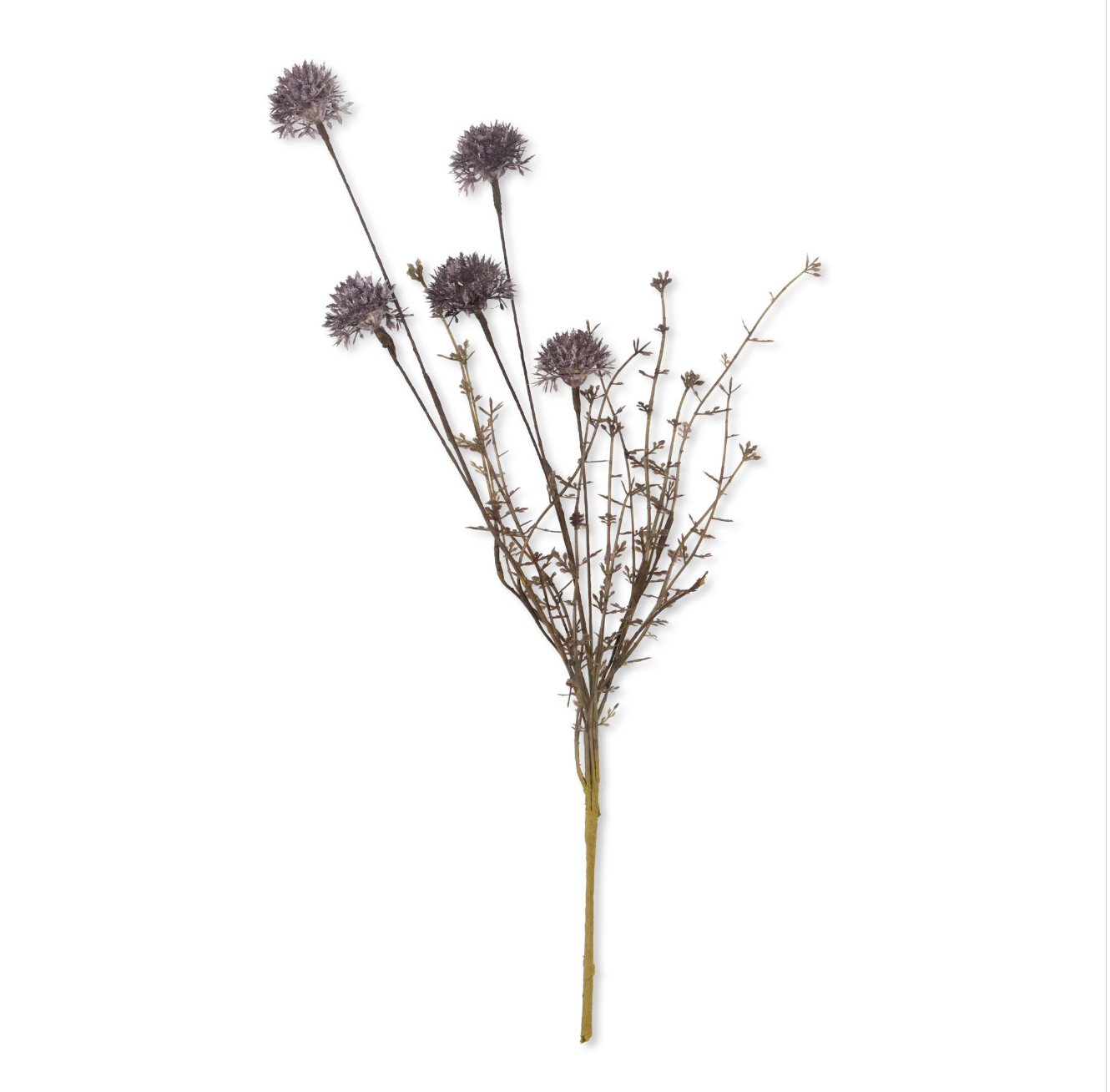 Artificial Melaleuca Stems by Abigail Ahern at Home Smith