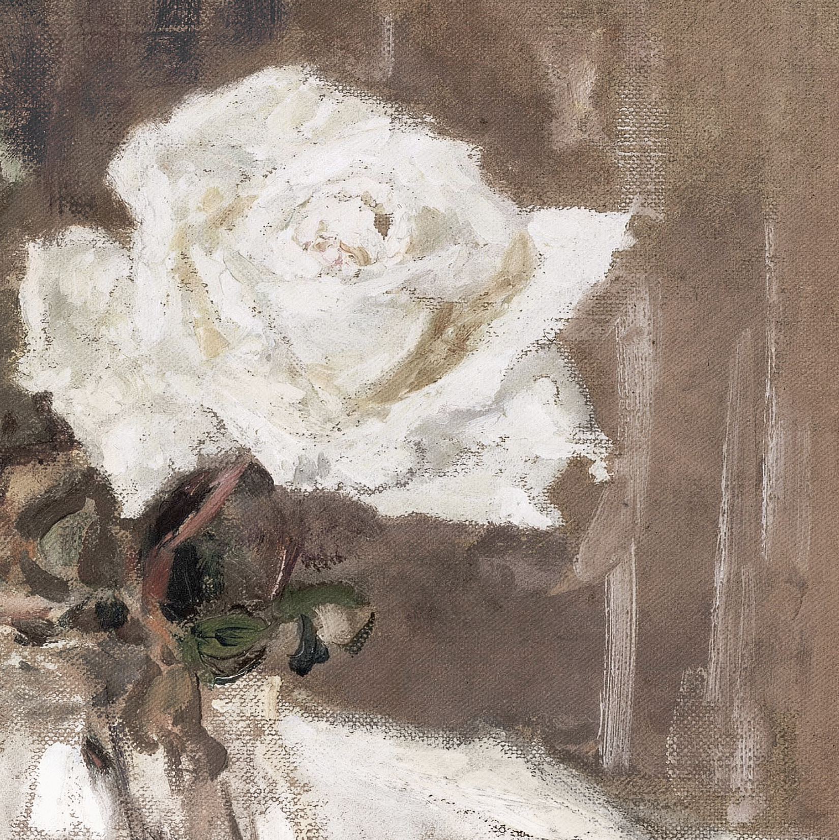 Artistic depiction of a white rose on a textured brown background