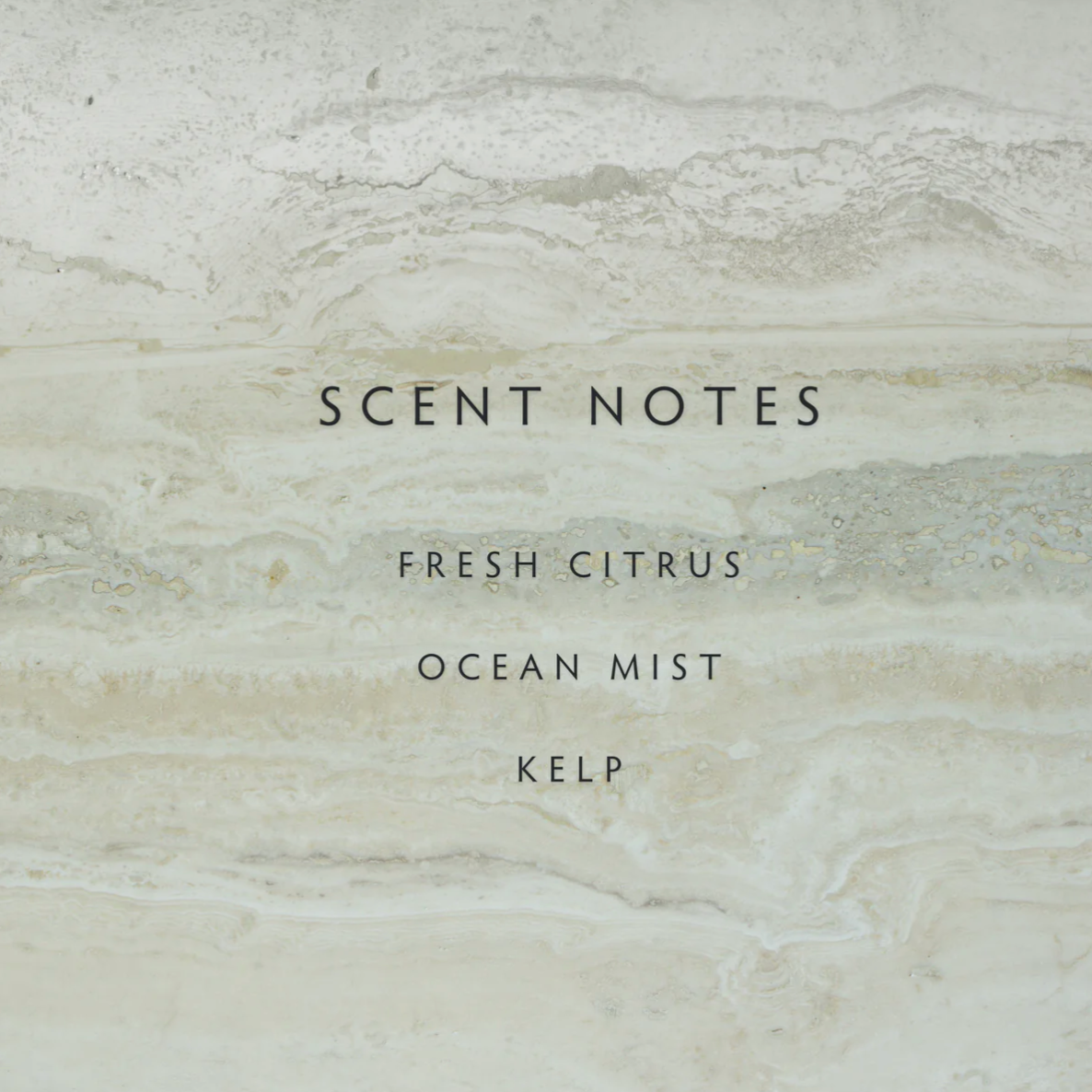 Text displaying 'SCENT NOTES FRESH CITRUS OCEANMIST KELP' on a marble background