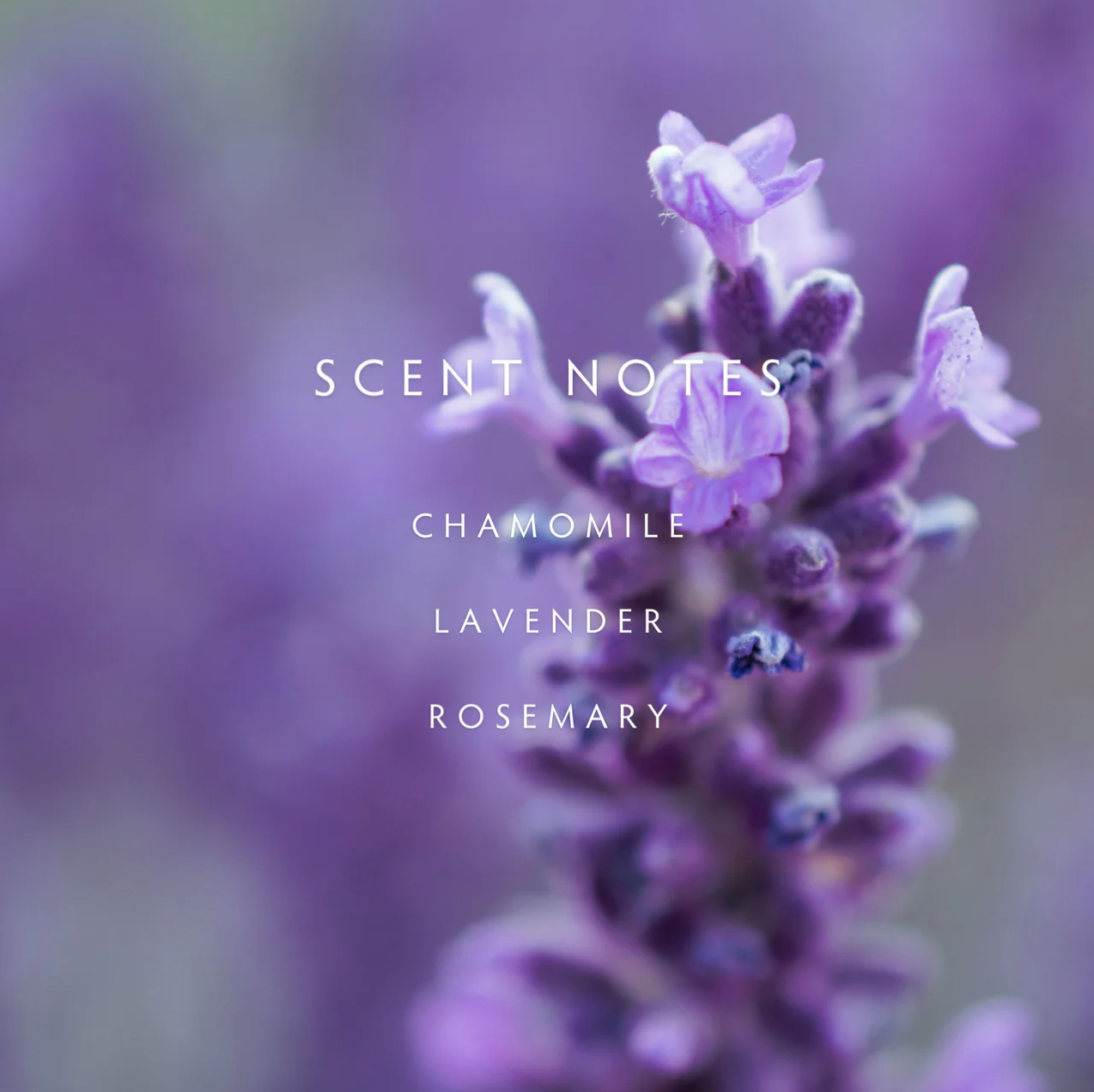 Close-up of lavender flowers with 'Scent Notes' text overlay on a blurred background