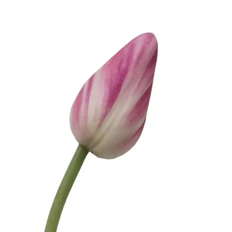 Home Smith Spring Pointed Tulips Home Smith