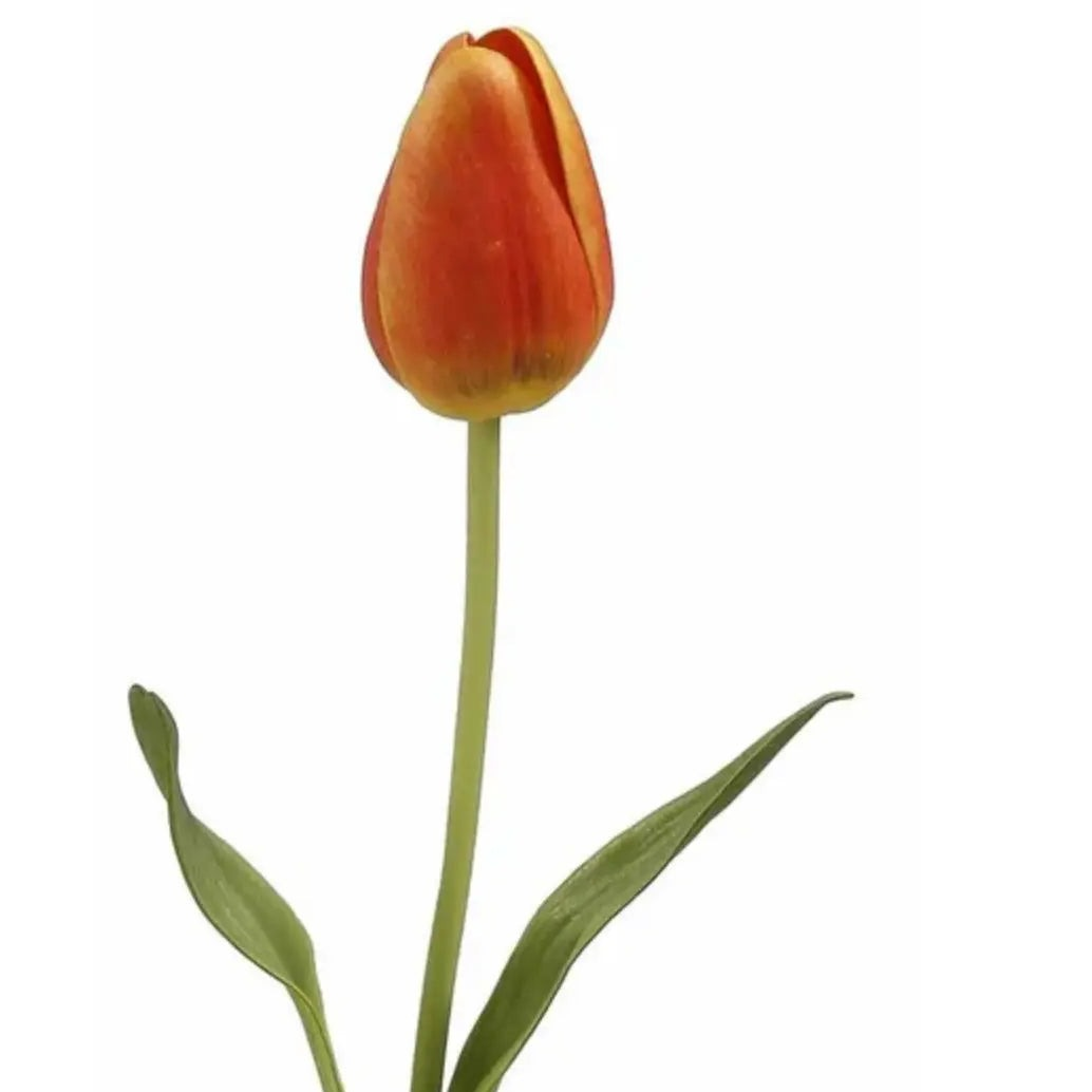 Home Smith Spring Pointed Tulips Winward Stems, Blooms & Branches