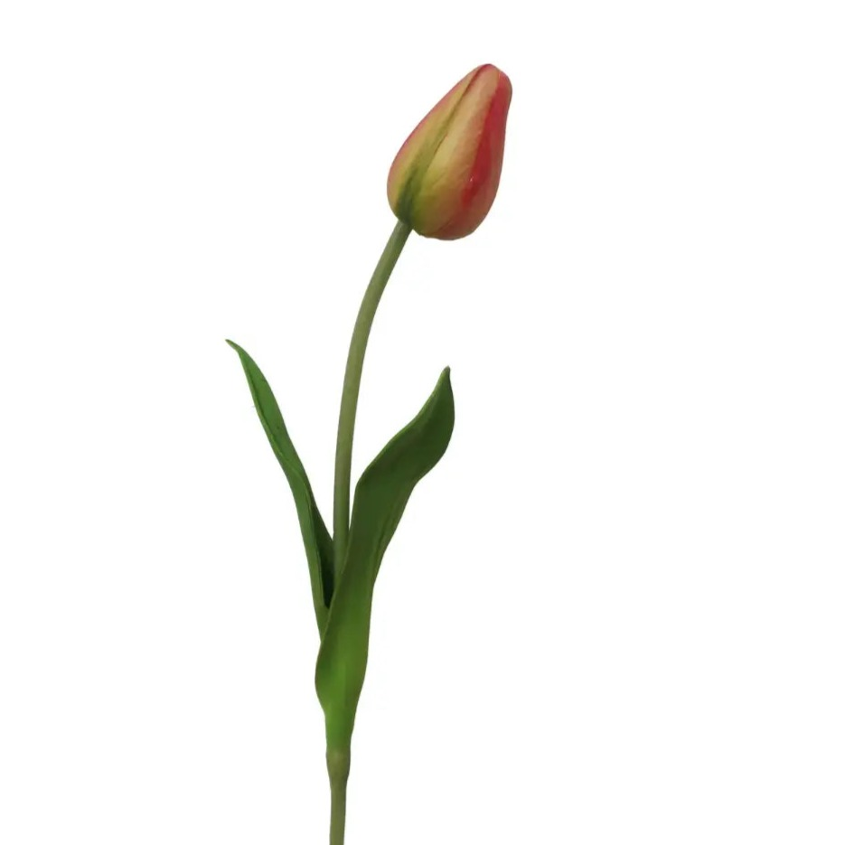 Home Smith Spring Pointed Tulips Winward Stems, Blooms & Branches