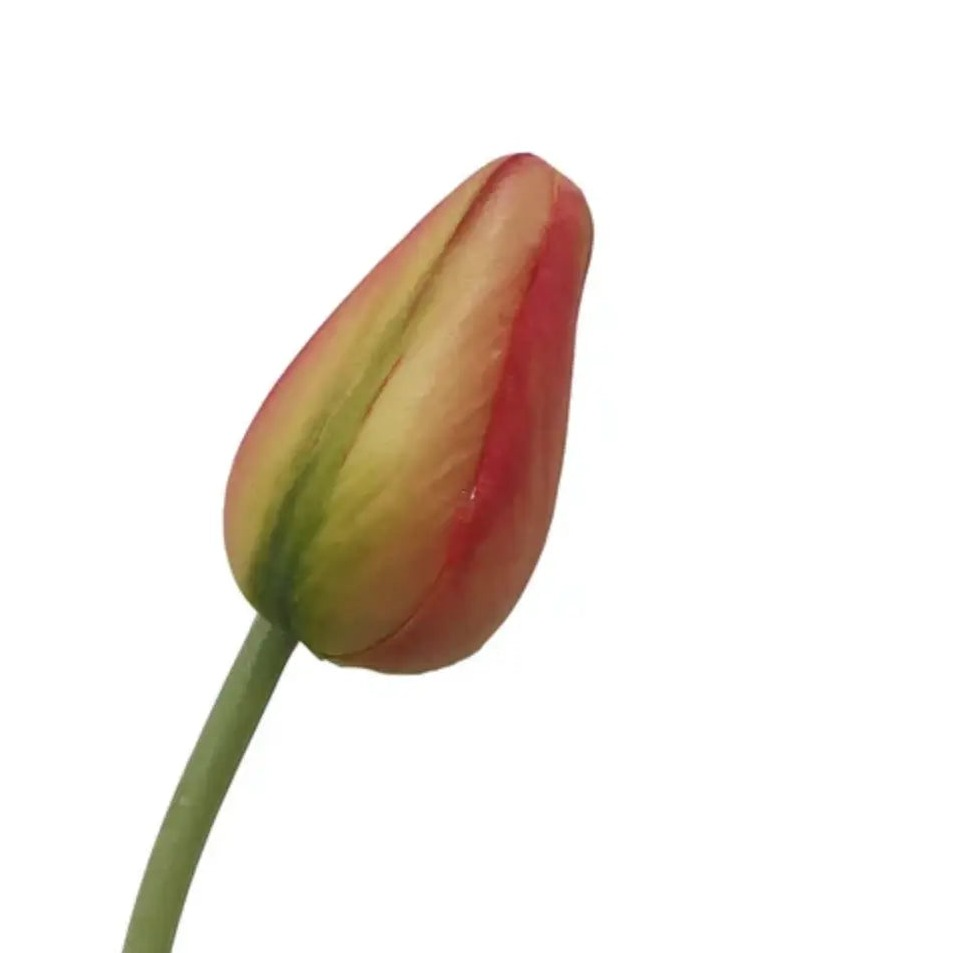 Home Smith Spring Pointed Tulips Winward Stems, Blooms & Branches