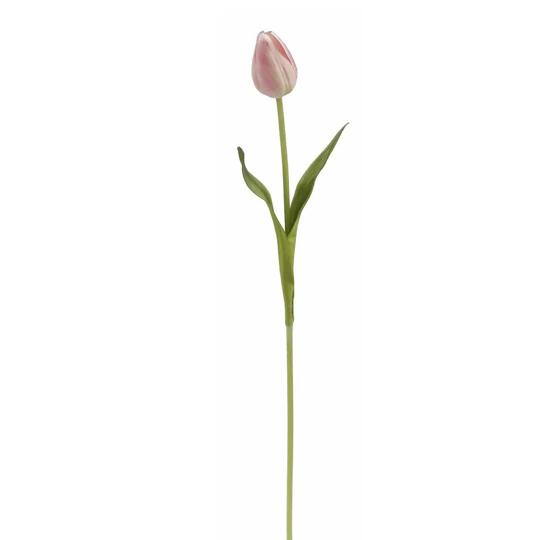 Home Smith Spring Pointed Tulips Winward Stems, Blooms & Branches