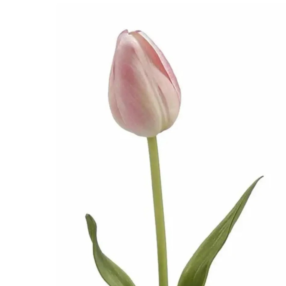 Home Smith Spring Pointed Tulips Winward Stems, Blooms & Branches