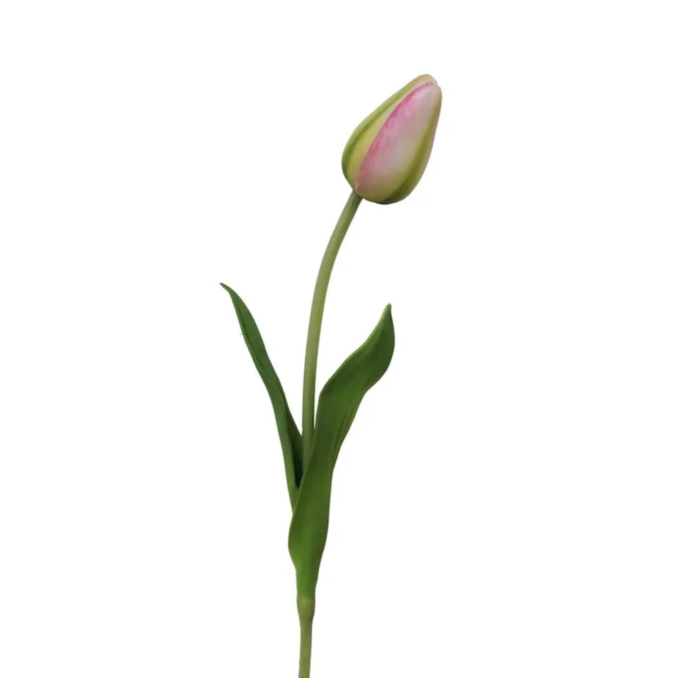 Home Smith Spring Pointed Tulips Winward Stems, Blooms & Branches