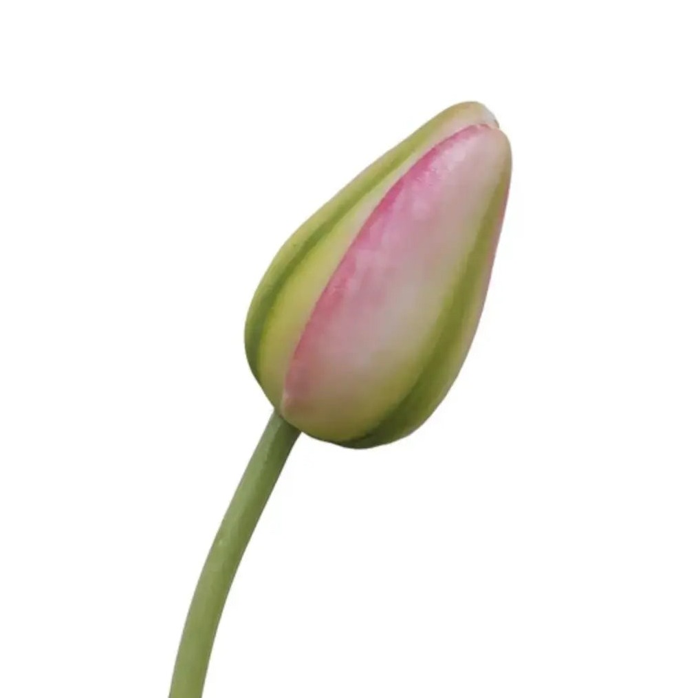Home Smith Spring Pointed Tulips Winward Stems, Blooms & Branches