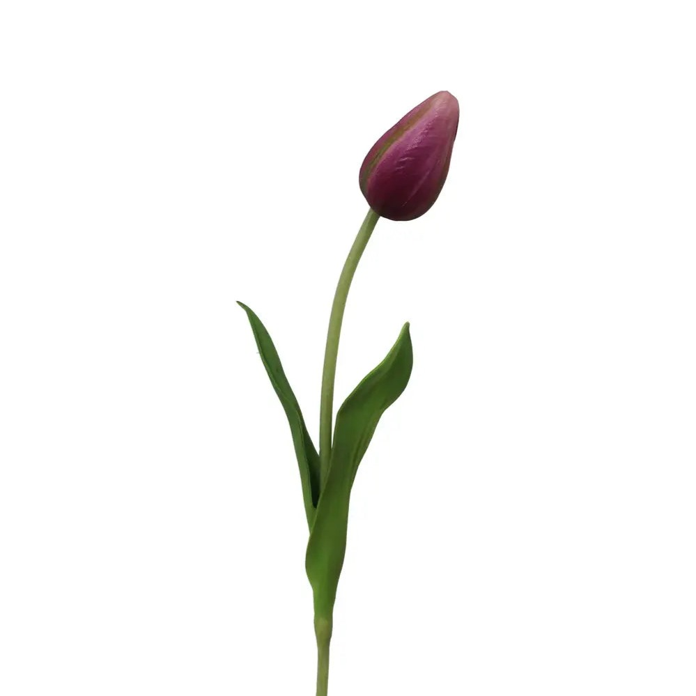Home Smith Spring Pointed Tulips Winward Stems, Blooms & Branches
