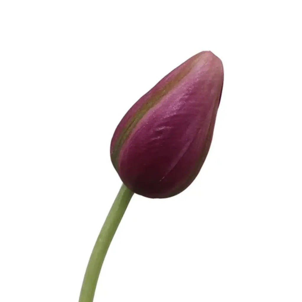 Home Smith Spring Pointed Tulips Winward Stems, Blooms & Branches
