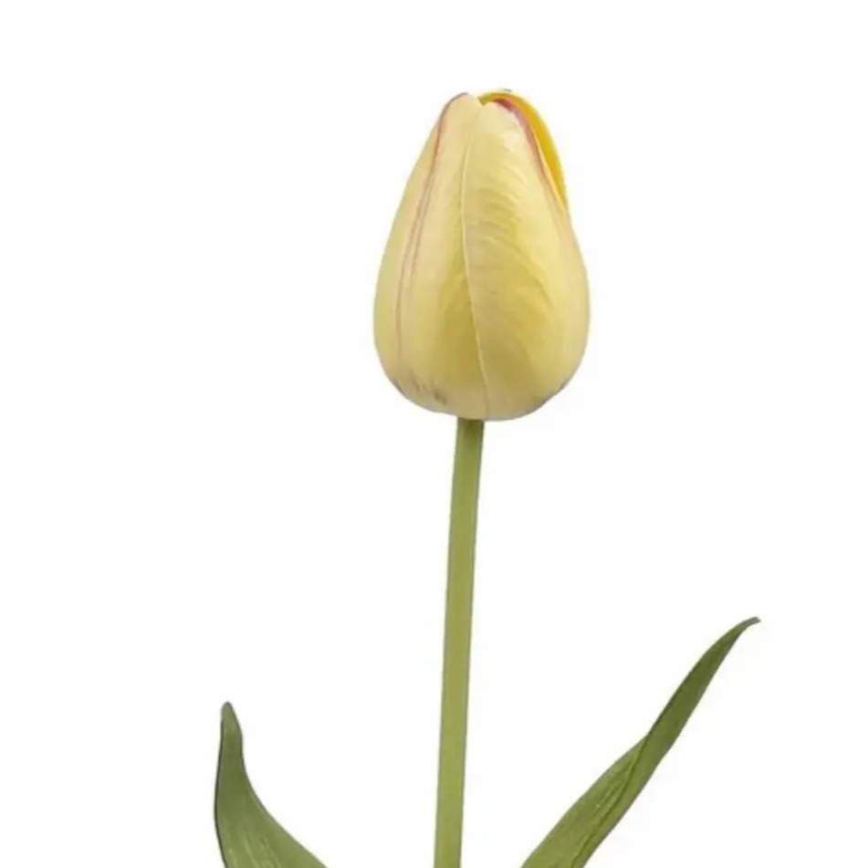 Home Smith Spring Pointed Tulips Winward Stems, Blooms & Branches