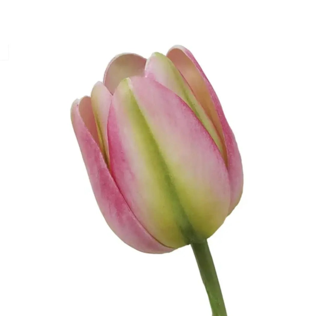 Home Smith Spring Tulips Winward Stems, Blooms & Branches