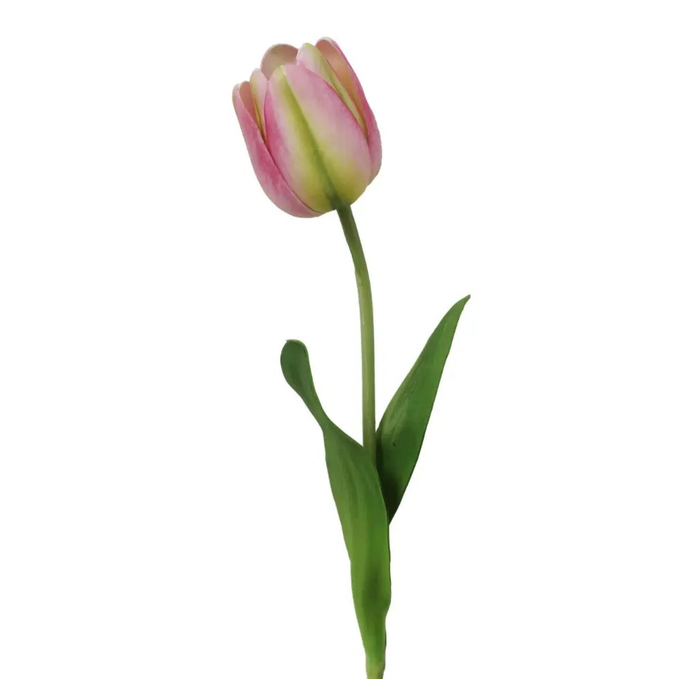 Home Smith Spring Tulips Winward Stems, Blooms & Branches