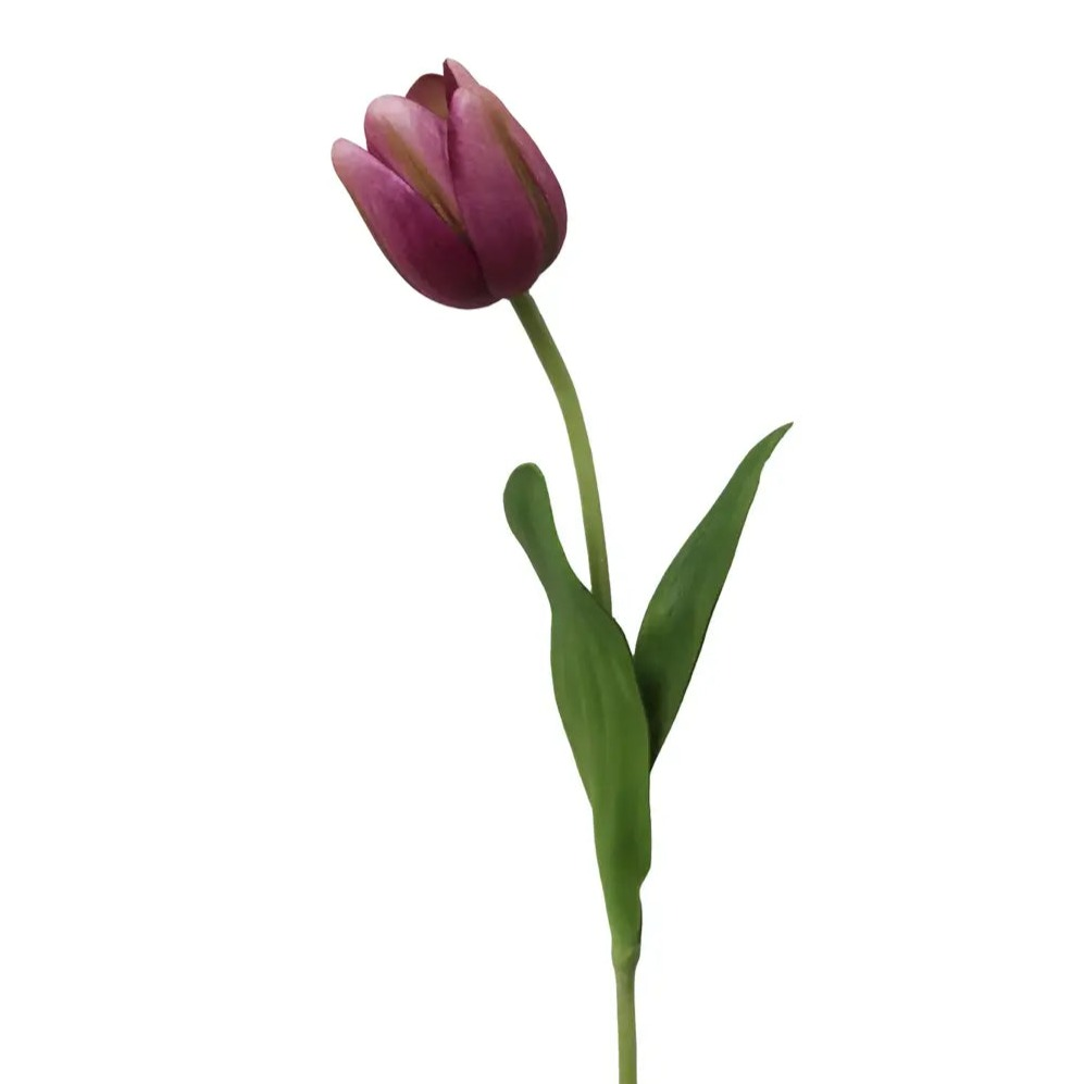 Home Smith Spring Tulips Winward Stems, Blooms & Branches
