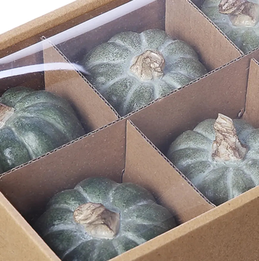 Home Smith Tonal Green Mini Pumpkins Allstate Floral Succulents, Spheres & Fruit