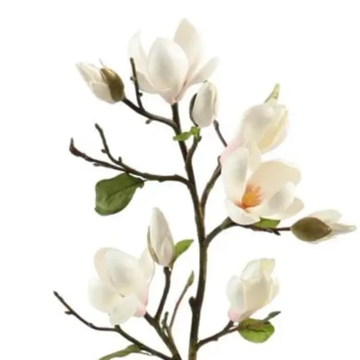 Home Smith Tree Magnolia Spray in Champagne Winward Stems, Blooms & Branches