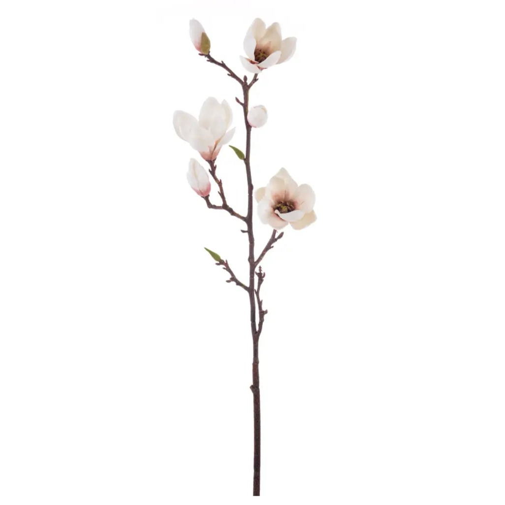 Home Smith Tree Magnolia Stems Winward Stems, Blooms & Branches