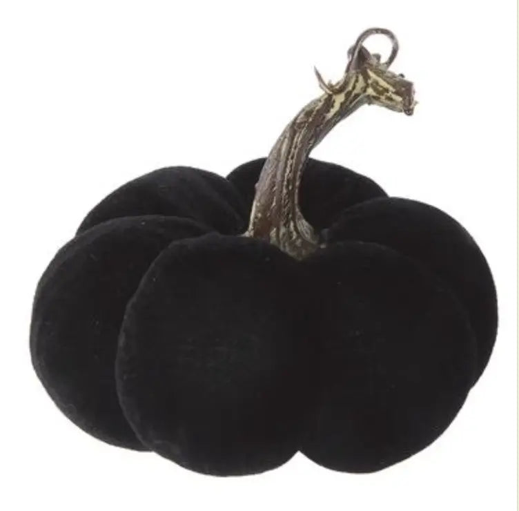 Home Smith Velvet Pumpkins in Black Allstate Floral Succulents, Spheres & Fruit