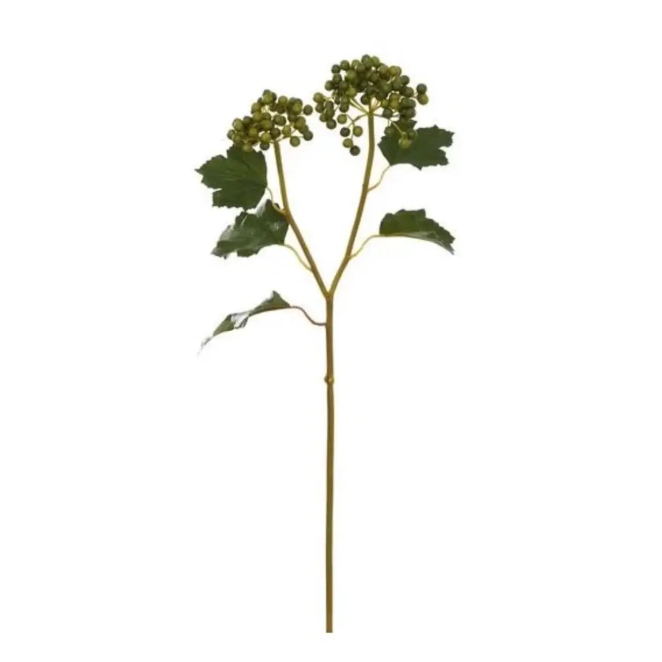 Viburnum Berry Spray - Home Smith