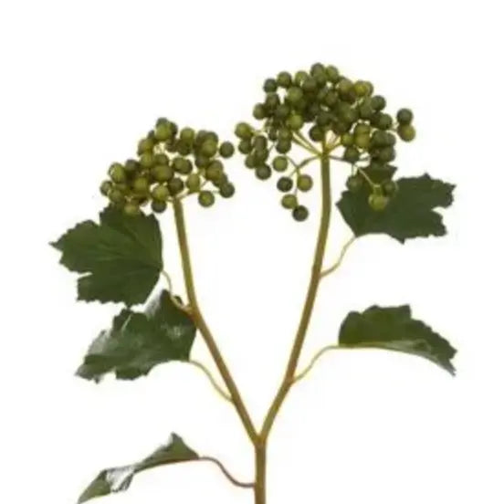 Home Smith Viburnum Berry Spray Winward Stems, Blooms & Branches
