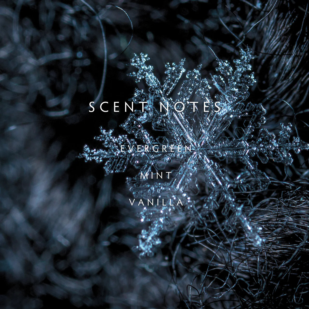 LINNEA Scented Soy Holiday Candle in Winter
