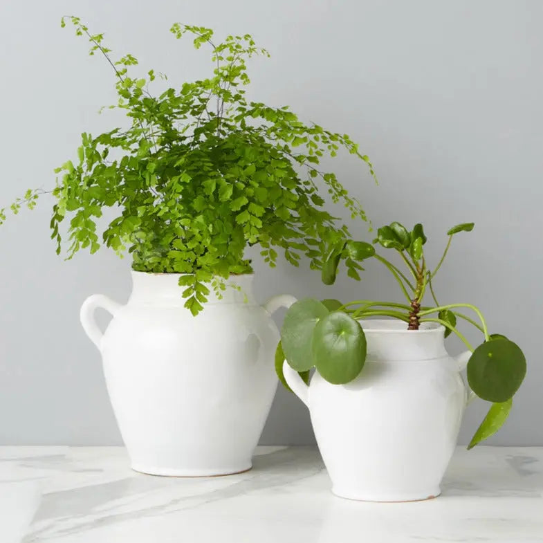White French Confit Pots - Home Smith