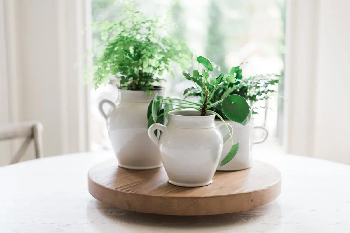 White French Confit Pots - Home Smith