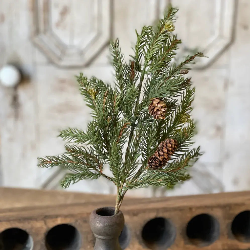 White Spruce Pick with Petite Cones - Home Smith