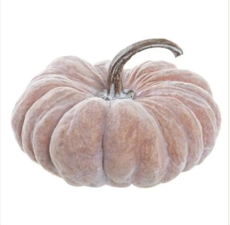 Home Smith Whitewashed Orange Heirloom Pumpkin Home Smith