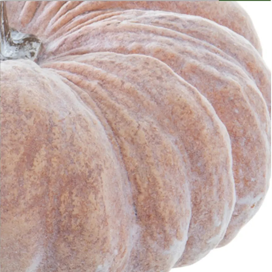 Home Smith Whitewashed Orange Heirloom Pumpkin Home Smith